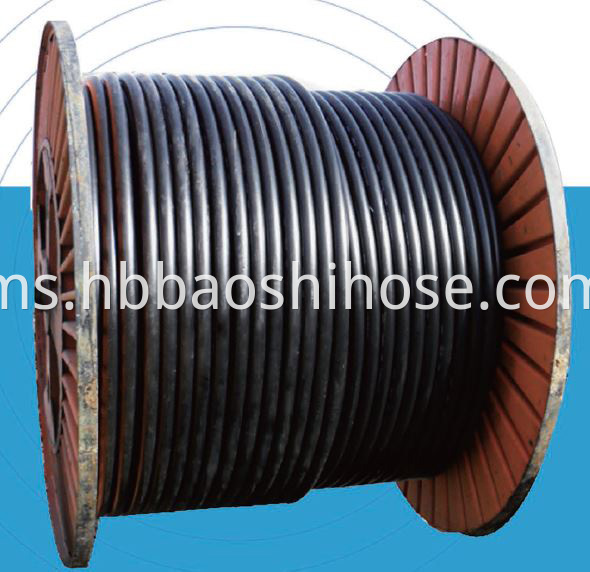 High Pressure Gas Transimission Hose